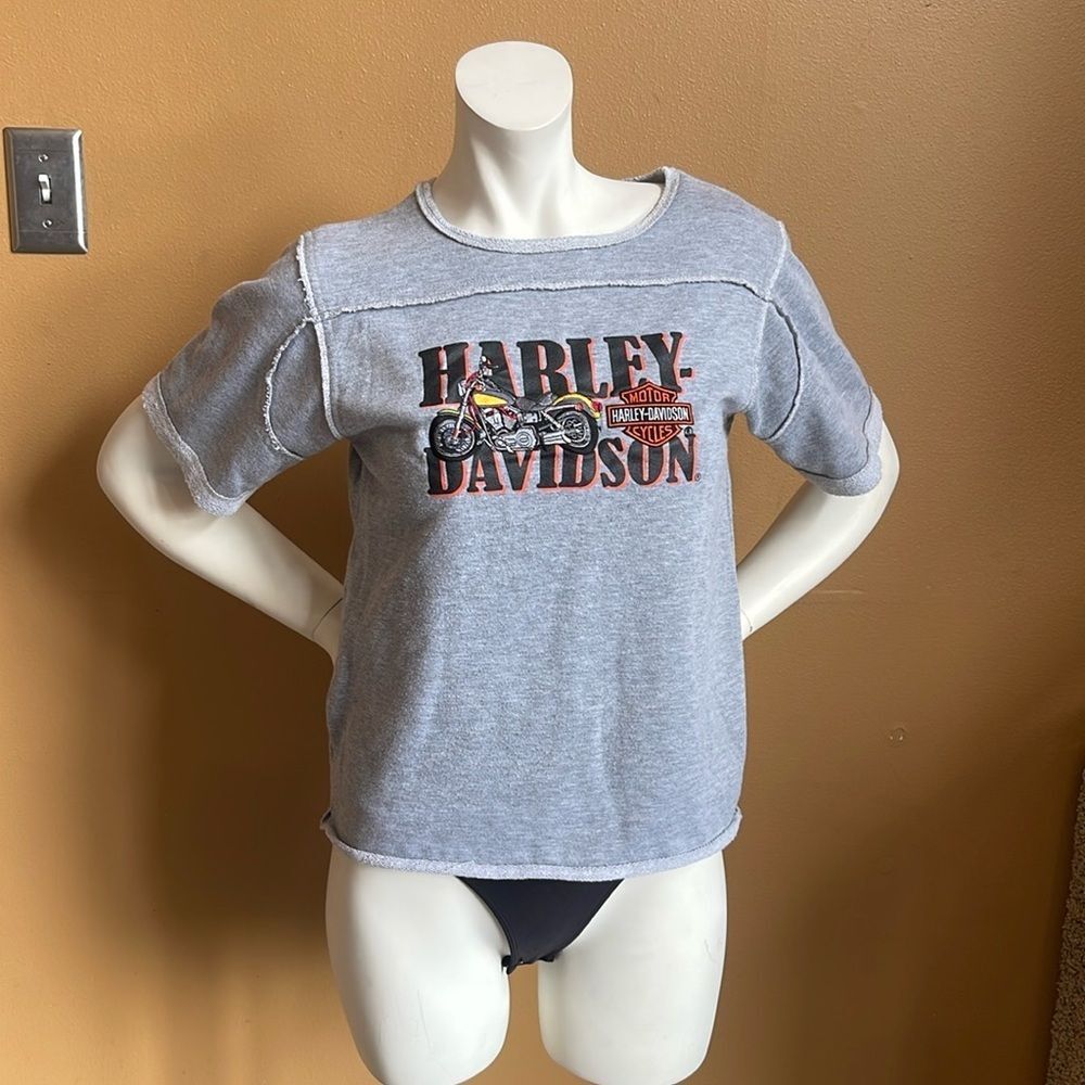 Harley-Davidson Gray Short Sleeve Tee